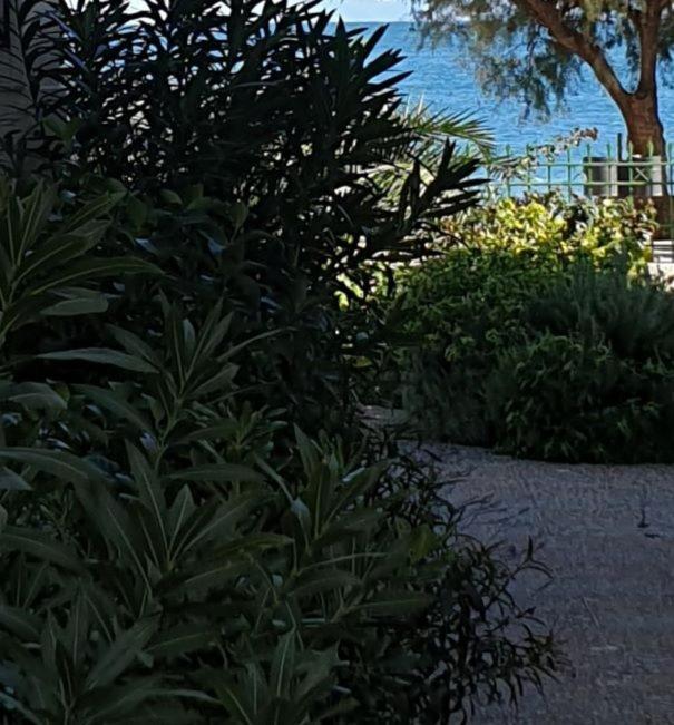 לפקנדי חלקידס Garden Lefkanti, 4Season Plaza Room מראה חיצוני תמונה